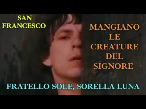 Video SAN FRANCESCO - MANGIANO LE CREATURE DEL SIGNORE - FRATELLO SOLE, SORELLA LUNA - 1972 - WIDE MEME