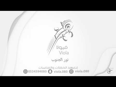 نور الجنوب ليله فرح
