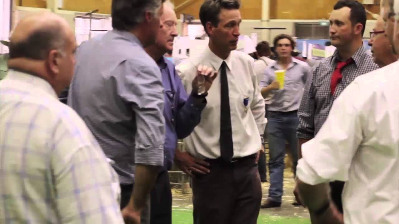 2015 03 29 Sheep Judging Of The Bruce Merriman Memorial Trophy