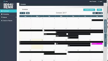 DreamSoft4u EMR System Demonstration Video