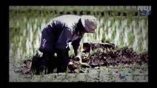 Satelite Como Este Monitorearan A Todo El Mundo Hasta En Tu Casa