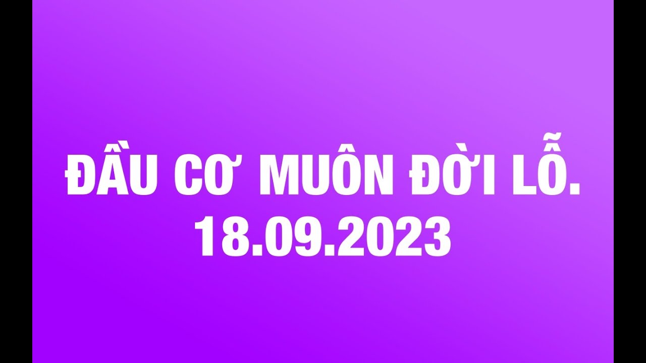 Đầu cơ muôn đời LỖ.