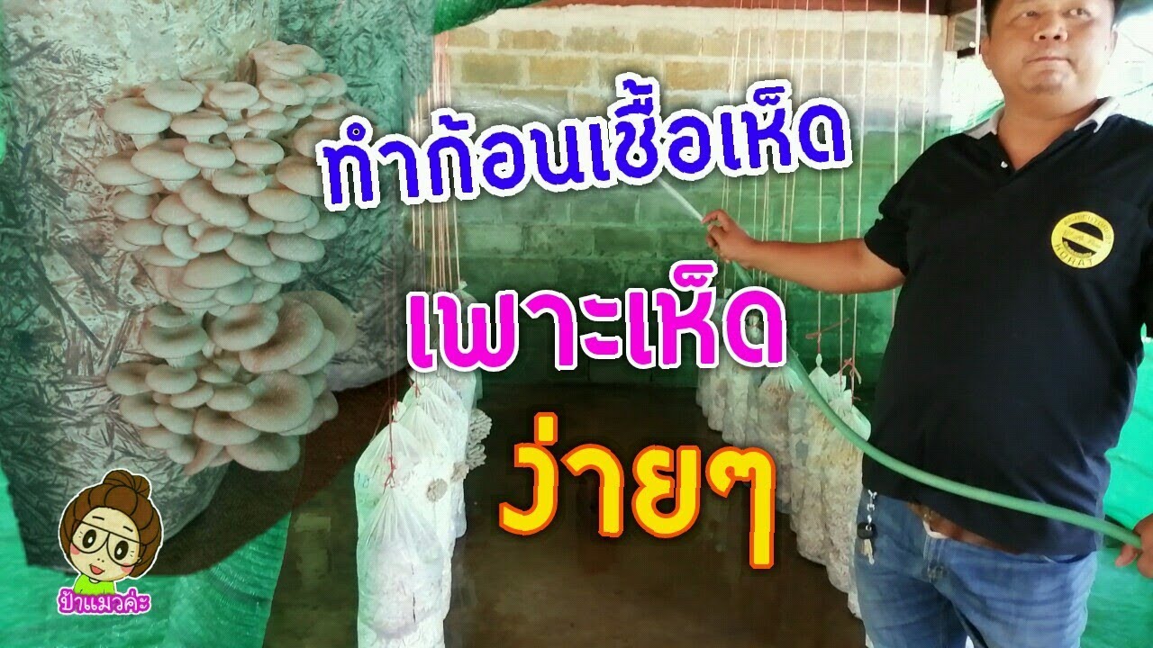 การทำก้อนเชื้อเห็ดง่ายๆไม่ต้องผ่านการนึ่งฆ่าเชื้อ EP.1/2
