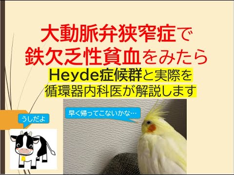 大動脈弁狭窄症で鉄欠乏性貧血を見たら(Heyde症候群と実際のところを循環器内科医が解説します)