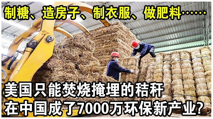 美國只能焚燒掩埋的「垃圾」，在中國搖身一變成了7000萬的環保產業？聯合國感嘆：偉大的發明！ - 天天要聞