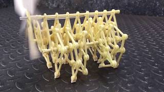 Strandbeest a Wind-Powered STEM Toy, DIY Kit