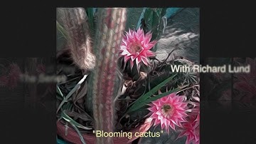 Light Field Play #1- light field pictures -first look