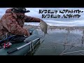 ЛОВЛЮ ПО-КРУПНОМУ... | РЫБАЛКА В КАМЫШАХ