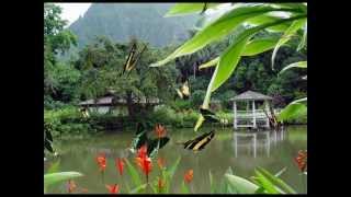 Near The Cross Piano - Kaizer