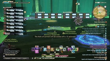 Highlight: [ FFXIV ] Alliance Raid : The Labyrinth of the Ancients