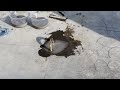 How To Repair Concrete DIY With Sanitred Quick Patch 