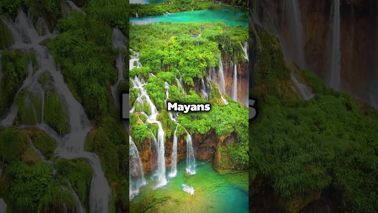 The Mayan Calendar