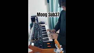 シンセベース Moog Subsequent 37  #弾いてみた #ベーシスト TSURUIベースチャンネル
