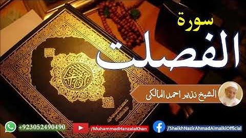 Suratul Fussilat | Sheikh Qari Nazeer Ahmad Almalki | قاری نذير احمد المالکی | سورة الفصلت