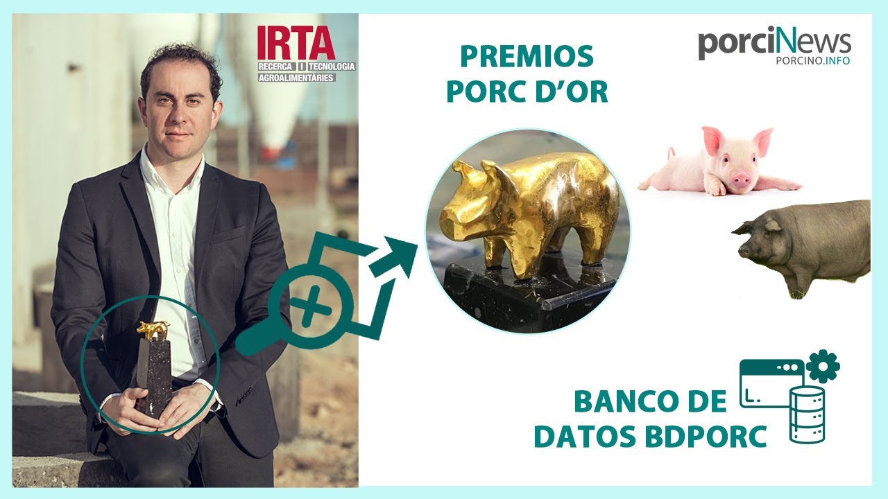 RESULTADOS PRODUCTIVOS en GRANJAS DE CERDO BLANCO E IBÉRICO 🐷✅