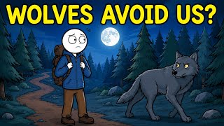 Why Don’t Wild Wolves Attack Us #NikExplainsUSA #Wolves #WolfPack