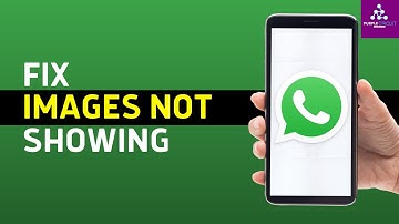 WhatsApp Images Not Showing In Gallery (FOR iPHONE)- 3 Ways To Fix