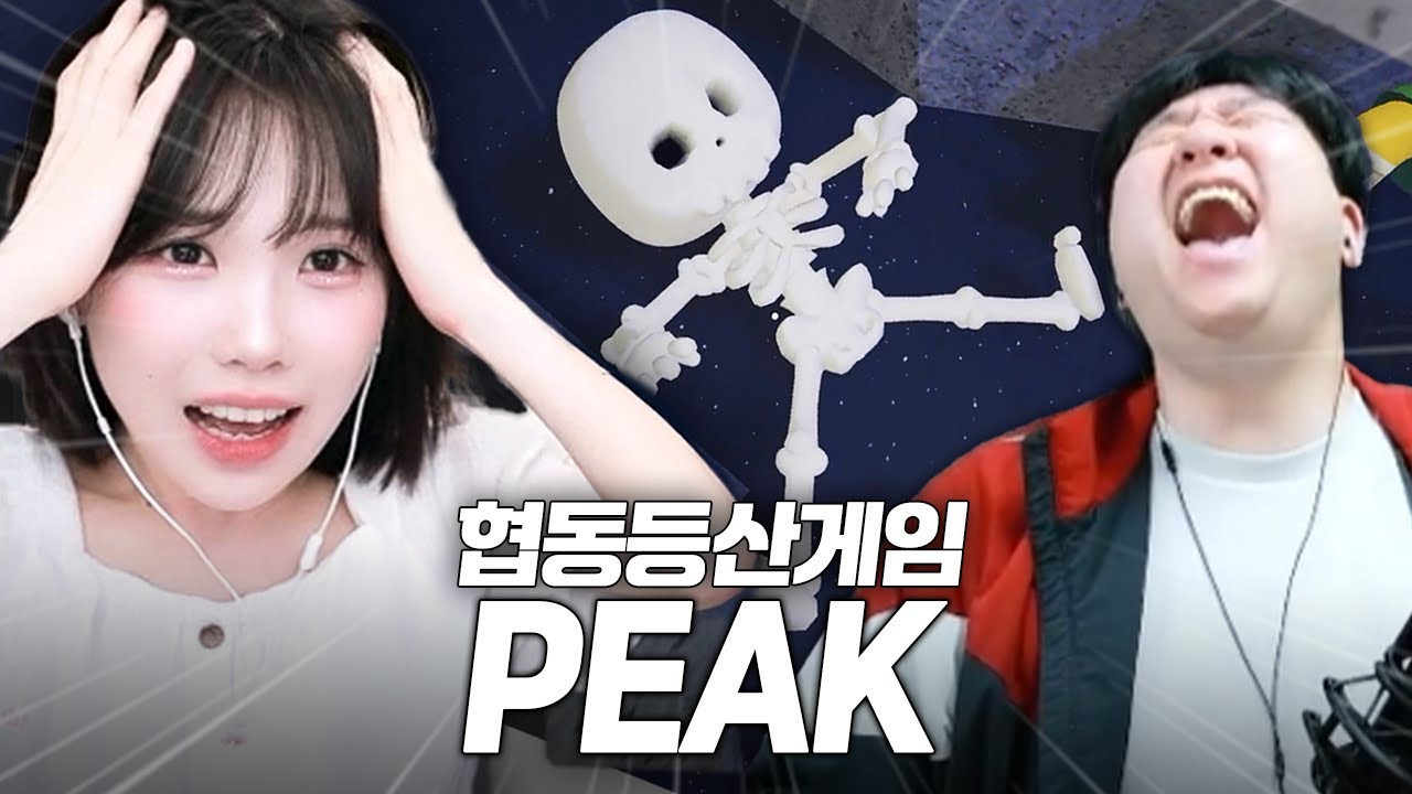 협동 없는 협동 게임 [종겜동 합방 라이어스 바, 피크 풀영상]