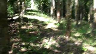 MVI_1376.AVI