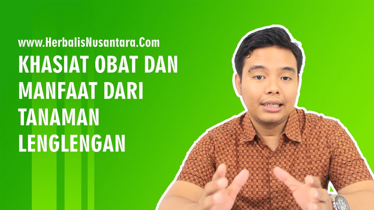 Khasiat Obat dan Manfaat dari Tanaman Lenglengan 