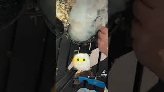 How to light a bee smoker to stay lit for a long time