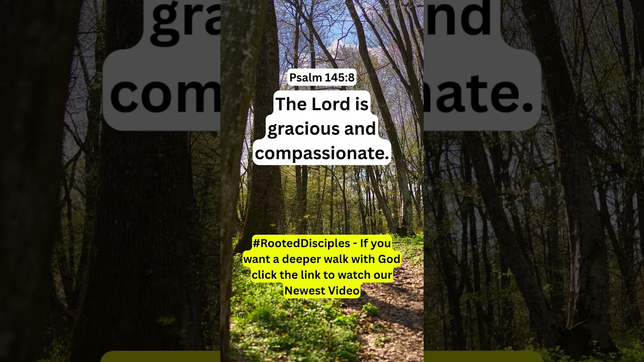 The Lord is Gracious and Compassionate | Psalm 145:8 