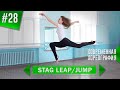 GRAND BATTEMENT - часть 3. STAG LEAP & STAG JUMP | Урок танца #28.