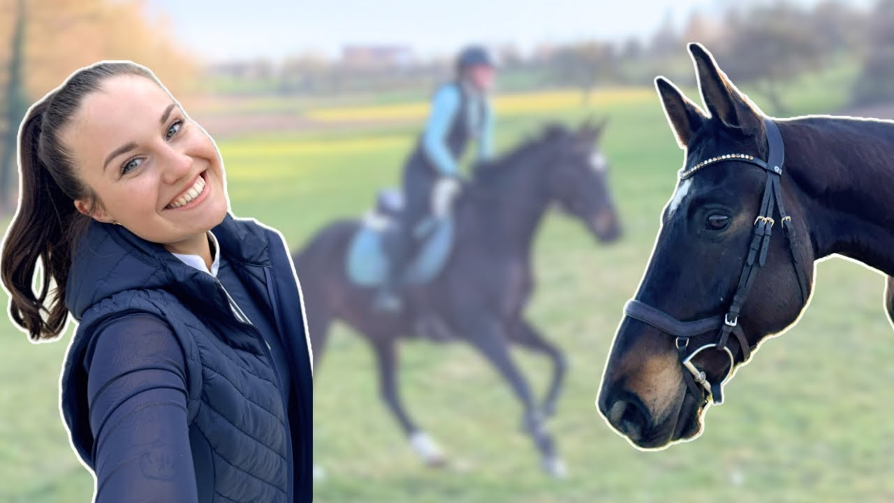 Der perfekte FRÜHLINGSTAG im STALL 🌸🐴