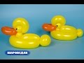 Утка из двух шаров  Duck of two balloons