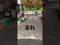 にげろにげろにげろにげろにげろ