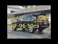 【塗る】シリコーン洗車やってみました。【KF-96】