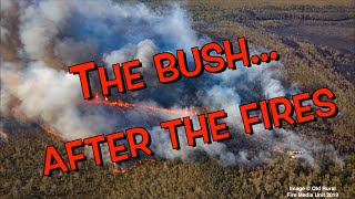 After the Australian bushfires by Adam Woodhams 768 views 4 years ago 5 minutes, 22 seconds