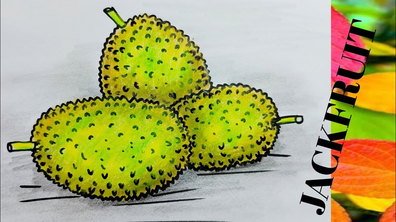 How to draw the jackfruit(for beginners)very easy YouTube