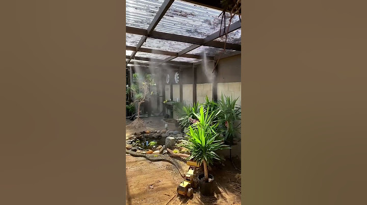 Aviary Birds