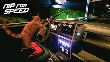 A CAT outlaw takes you on a road trip! (NIP FOR SPEED)