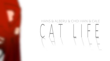 CAT LIFE — Lout of The Count