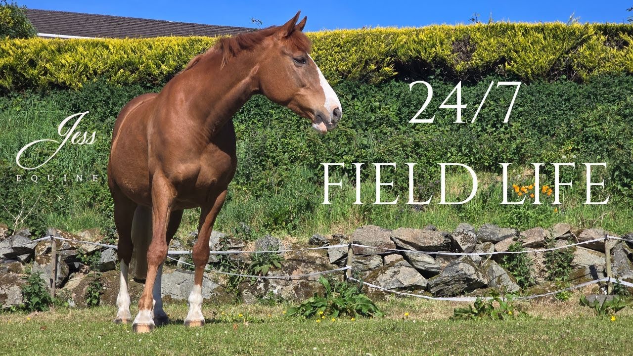 24/7 Field Life