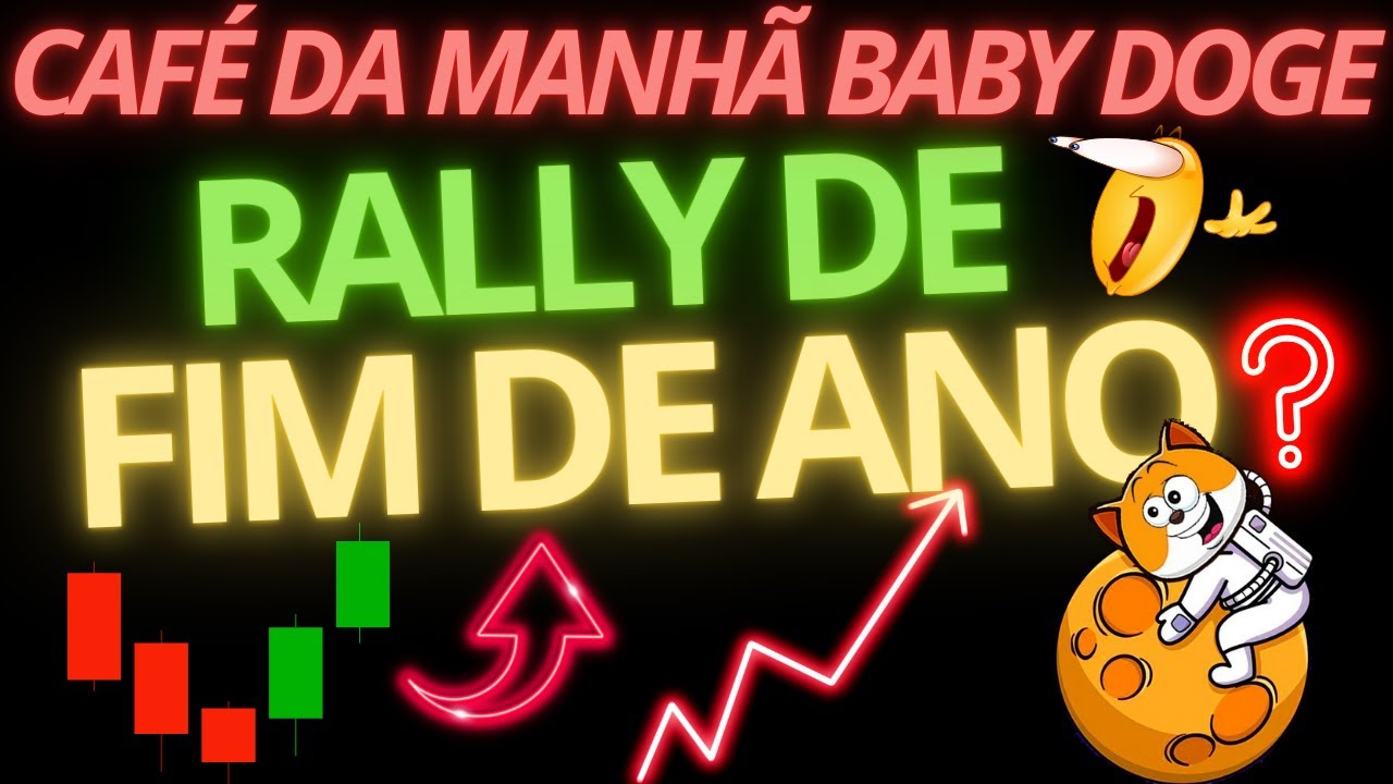 BABY DOGE, urgente, RALLY de FIM de ANO? Saiba de TUDO AGORA!