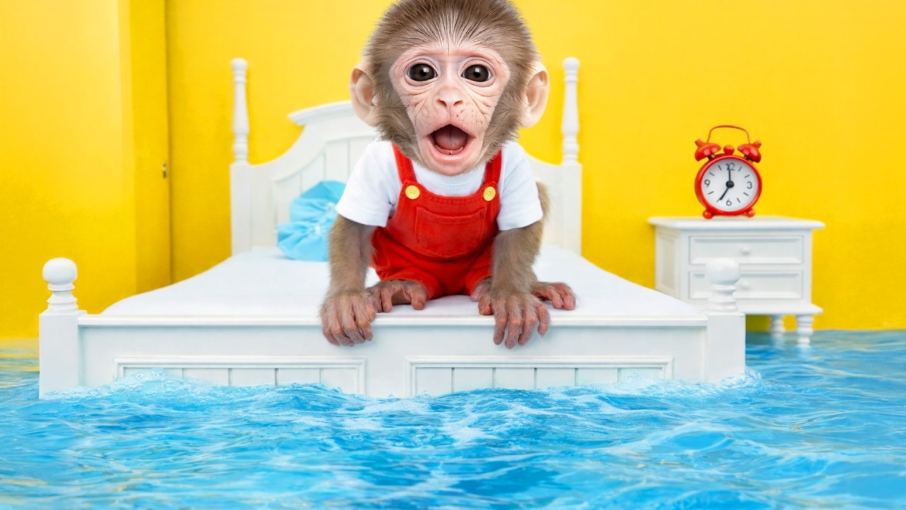小猴子LuLu 奇怪的早晨：小猴子醒来时发现自己身处一片水海中！ | 乐乐小猴子