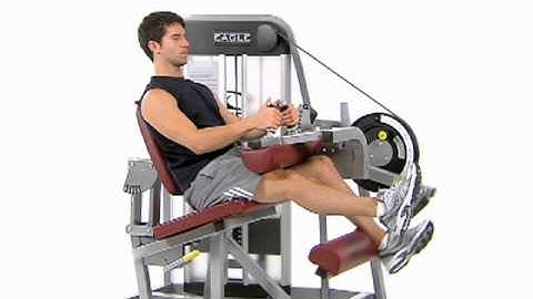 Alternating Leg Curl - Cybex Eagle Seated Leg Curl