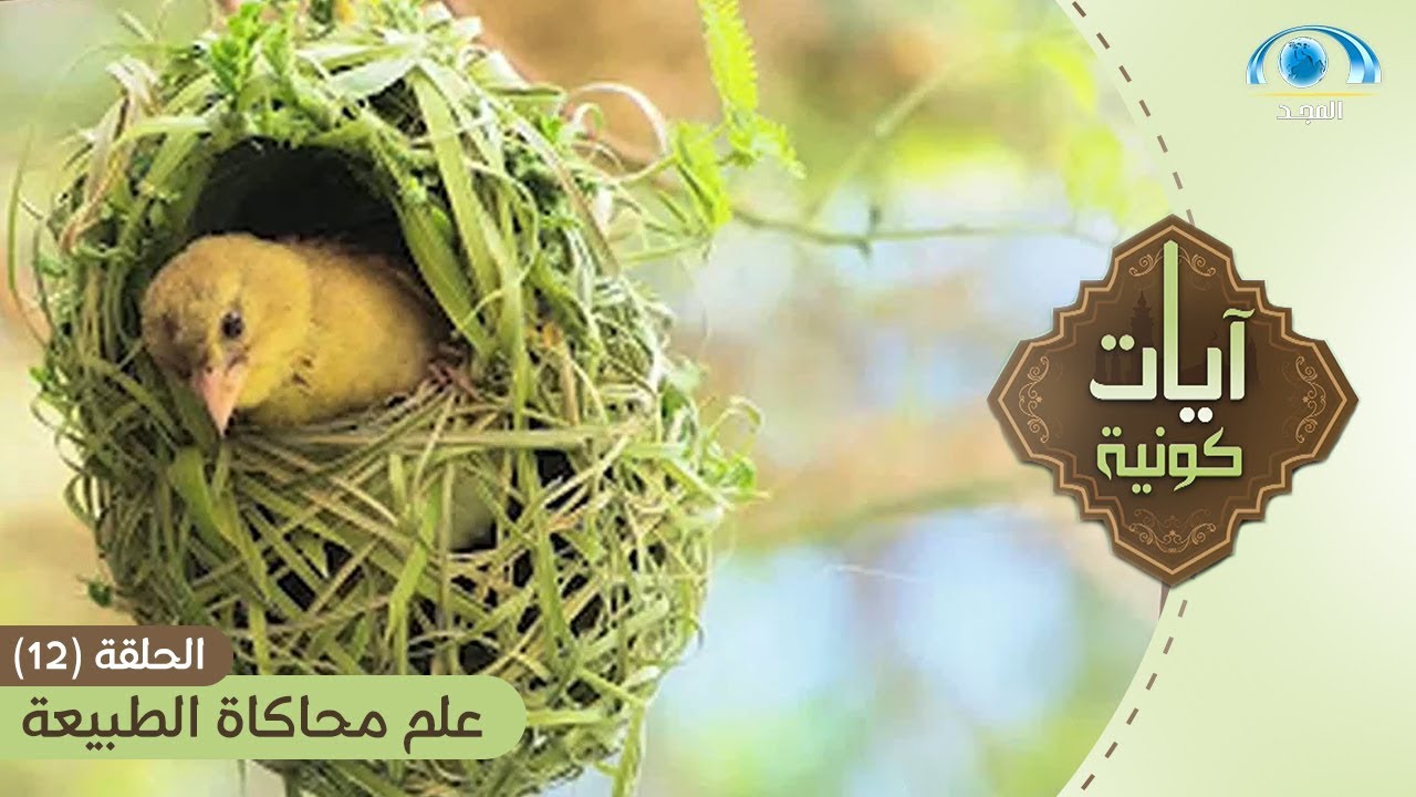 علم محاكاة الطبيعة | برنامج آيات كونية