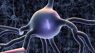 Optogenetics