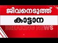 വീണ്ടും കാട്ടാനക്കലി!! കരുവാരക്കുണ്ടിൽ കാട്ടാന ആക്രമണത്തിൽ തൊഴിലാളിക്ക് ദാരുണാന്ത്യം