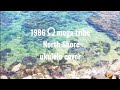 1986オメガトライブ【North shore】ukulele cover
