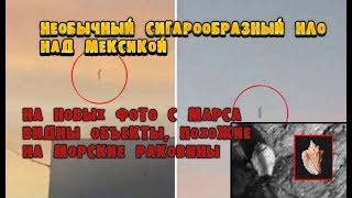 Необычный сигарообразный НЛО над Мексикой / На новых фото с Марса нашли морские раковины