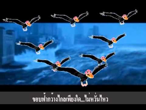 เพลงบินตามพ่อ ok
