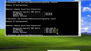 Dhcp Lan By Dara Phearun