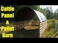 Building a Barn ( milking parlor ) from Pallets and Cattle Panels