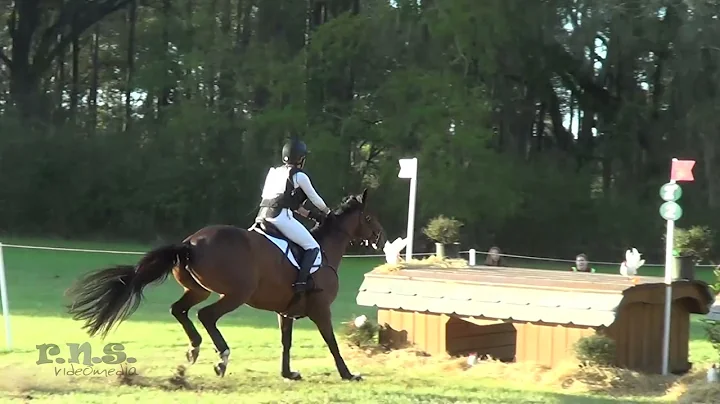 Heidi Crowell & Tinraher Diamond Red Hills Interna...