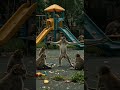 犬猿猫物語〜バナナ戦争〜 Dog & Cat:Banana Wars #cat #dog #rescue #banana